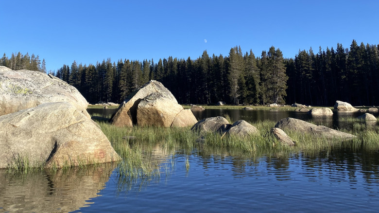 rocky pine lakeside view in oakhurst, california