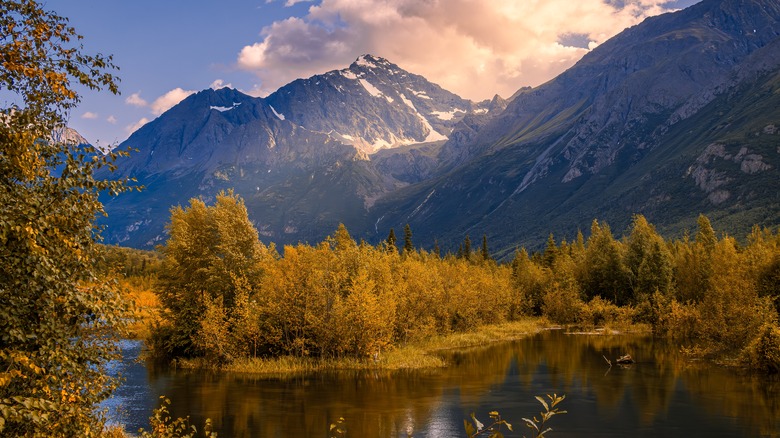 A fall landscape in Eagle River, Alaska