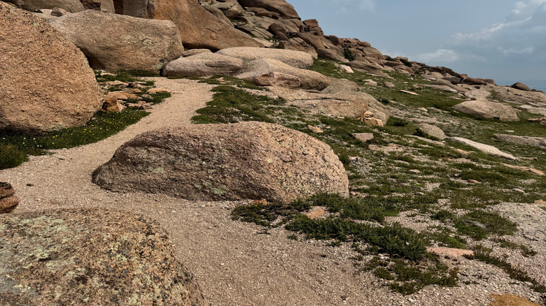 a scenic view on a Pikes Peak trail at Cascade-Chipita Park