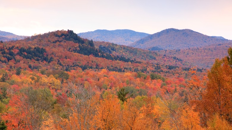 Views of fall foliage in the Adirondack Mountains