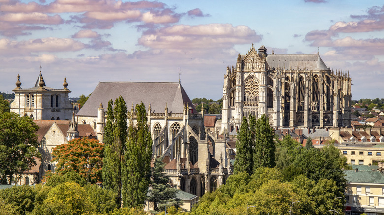 Gothic cathedral, city buildings, and trees