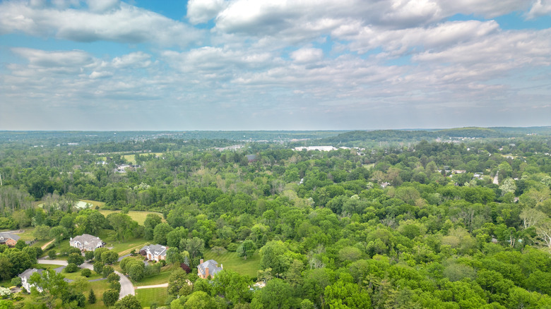 Aerial view of Flourtown in Pennsylvania with trees and houses in the foreground during the day.