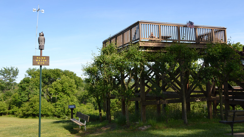 Observation deck at Fort Washington State Park in Pennsylvania during the day.