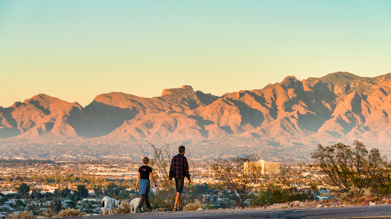 Couple walking dogs in Tucson, Arizona with mountains in background