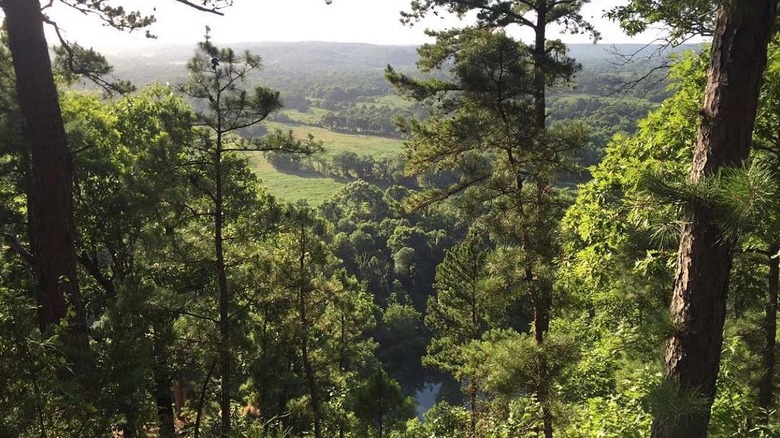 View of Sparrowhawk Wildlife Management Area in Oklahoma
