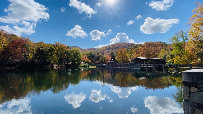 Reflection of the sky in Lake Susan, Montreat
