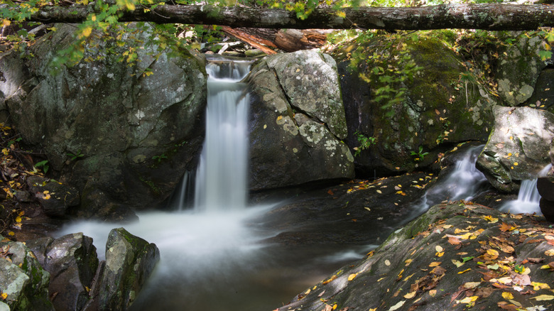 Waterfall near Montreat, North Carolina