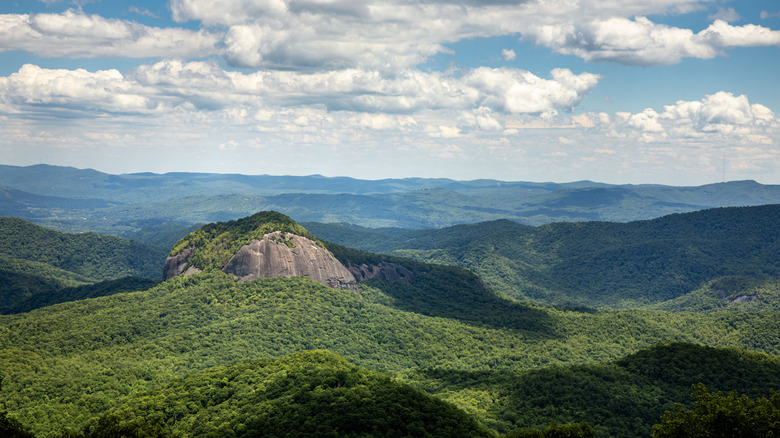 Green landscapes of Pisgah National Forests