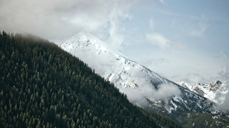 Snowy mountain peak in Browning, Montana