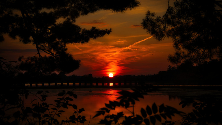 Sunset over Lake Como in Wisconsin with tree branches and leaves in the foreground.
