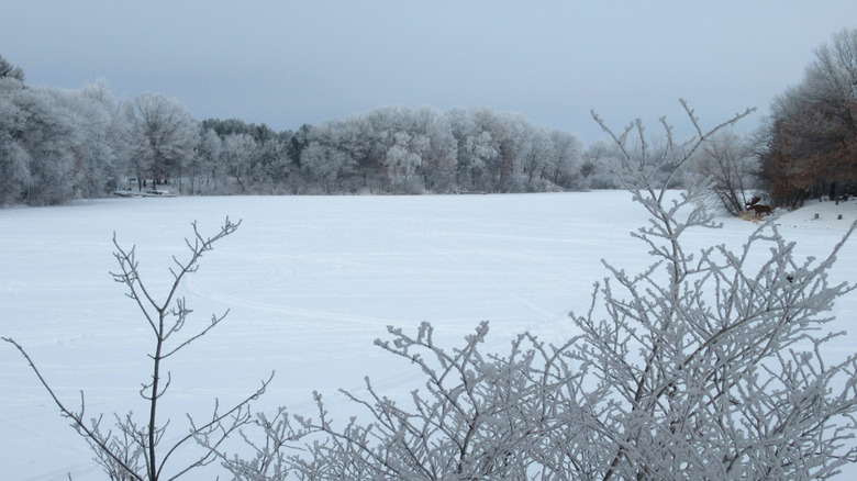 Lake Como during the winter with snow on the lake and trees surrounding.