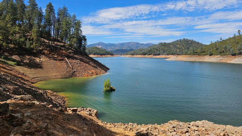 The placid surface of Trinity Lake with steep shoreline and trees on a sunny day.