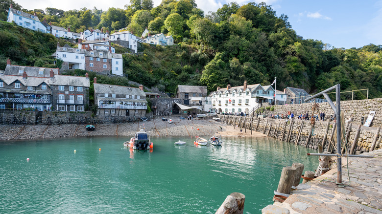 Close up of waterfront homes surrounded by trees in Clovelly in western Devon
