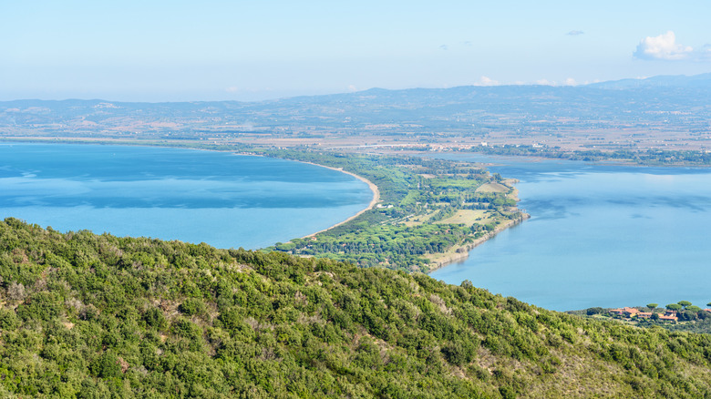 Isthmus of land with trees between the sea
