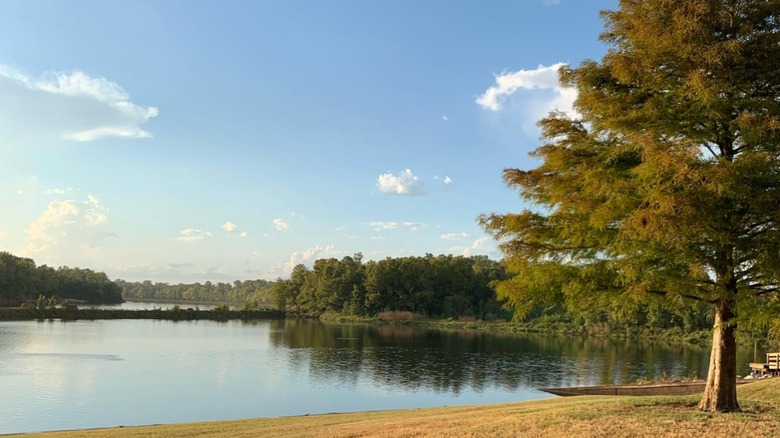 ﻿Fort Buhlow Recreation Area in Pineville, Louisiana