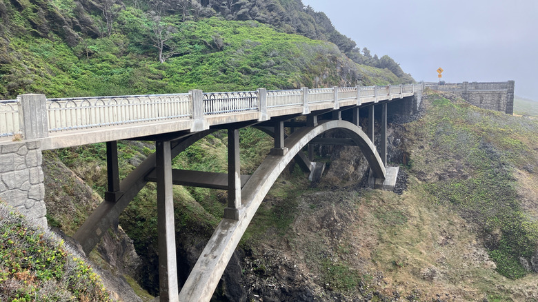 View of Cook's Chasm Scenic Bridge on the Oregon Coast.