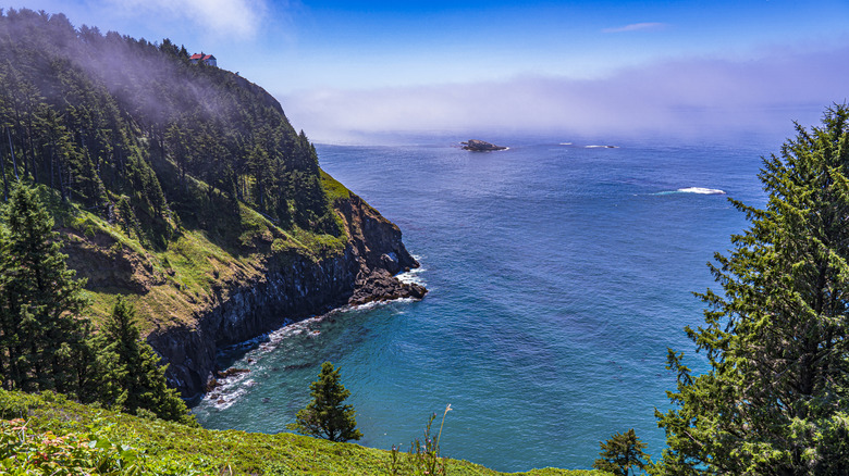 A view of soaring cliffs, Pacific waters, and coastal forests from Cape Foulweather