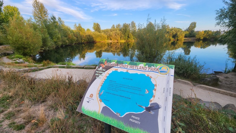 Wetland path at Salish Ponds Wetland Park, Fairview, Oregon, with an informational sign about West Salish Pond, located behind it