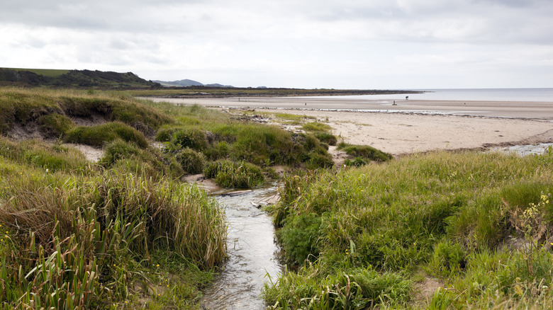 Beach on the Isle of Bute, Scotland.