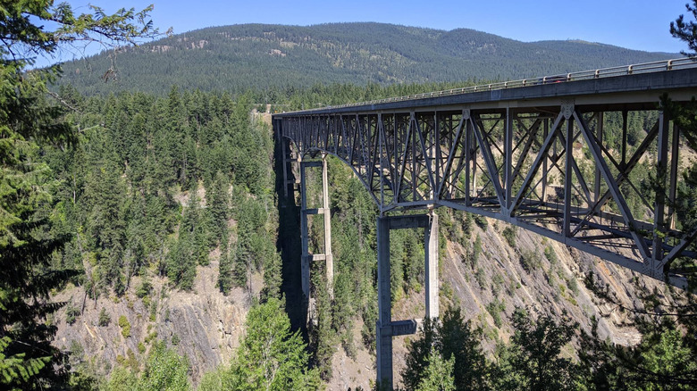 A tall bridge in Kaniksu National Forest.
