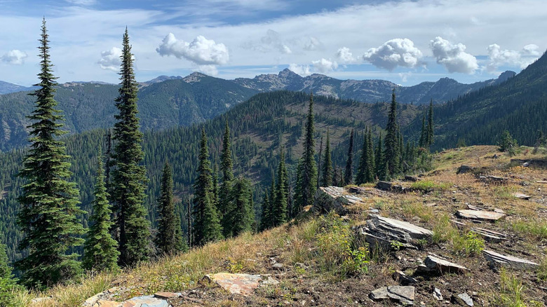 Mountains and trees from an overlook in Kaniksu National Forest.