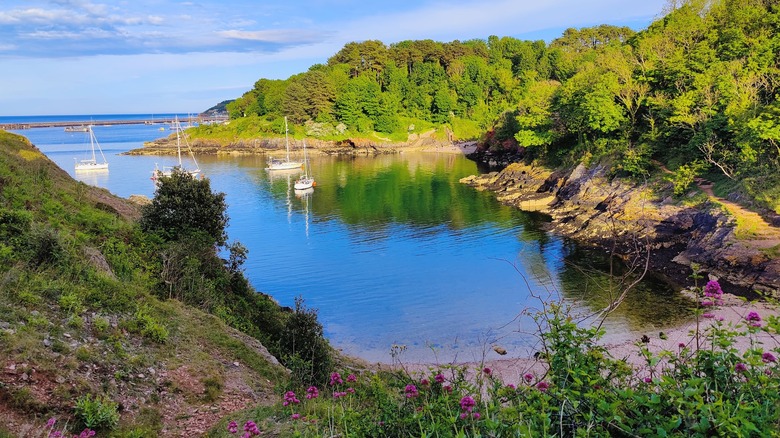 A small beach in a wooded cove with boats on the water