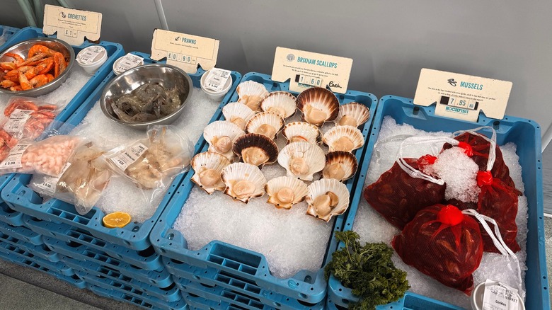 A display of fresh scallops, mussels, and other seafood on ice