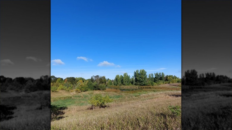 The Ney Nature Center in Henderson