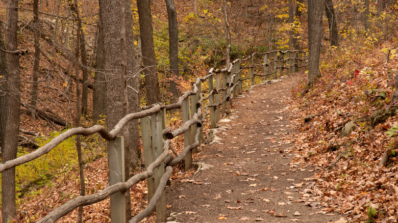 A wooded hiking trail in Effigy Mounds National Monument