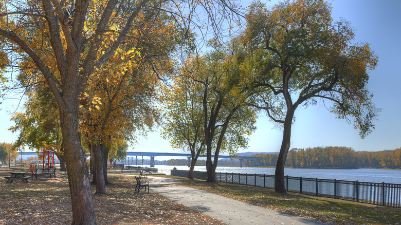Trees in fall on a Prairie du Chien park trail