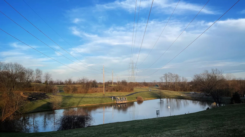 View of grassy area and pond at Flagship Park