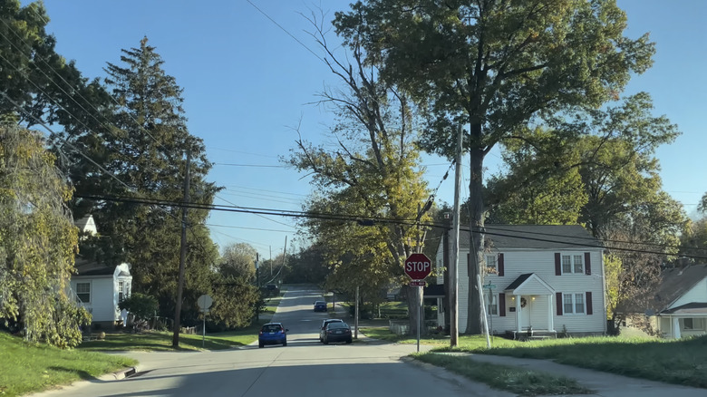 Tree-lined street view in Erlanger