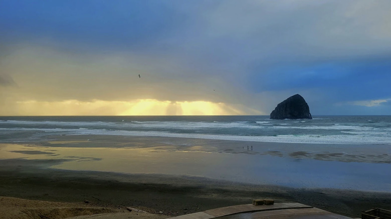 Ocean views at Pacific Beach State Park in Washington