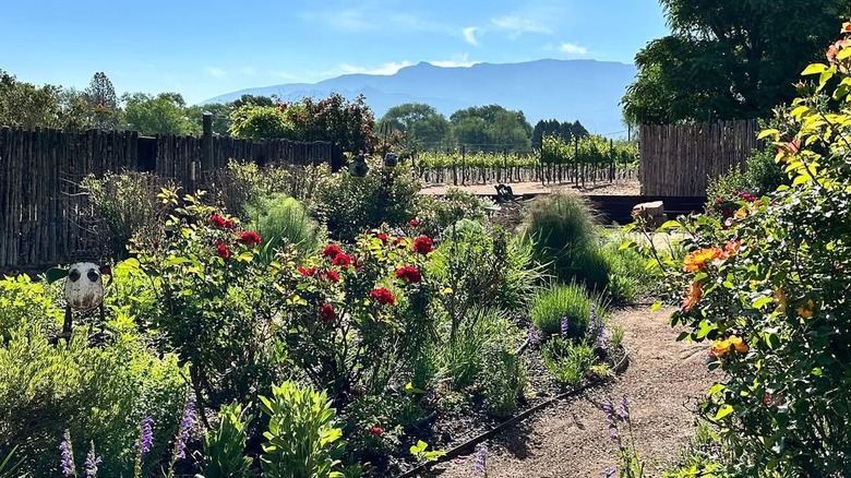 garden of Milagro Winery