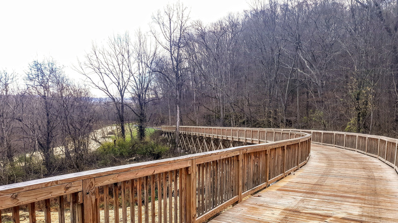 Boardwalk along the Kingsport Greenbelt