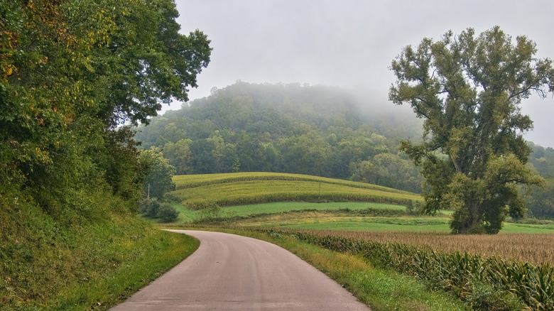 A rural country lane by a farm with a forested hill in the background
