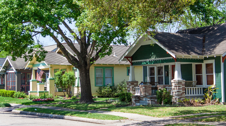 A row of colorful homes in Houston Heights shaded by a tree, Houston, Texas