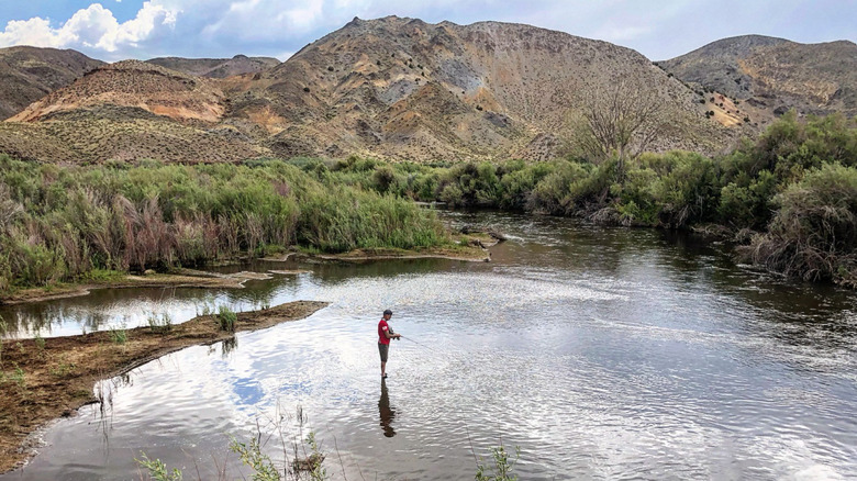 A person fishing near The Elbow, trees and mountains in the background
