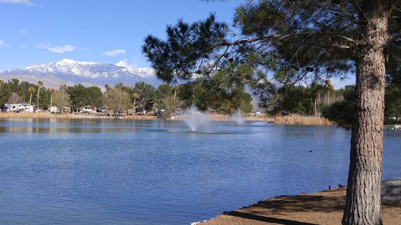 View of Lakeside Casino & RV Park in Pahrump, Nevada, from across the lake with snow-covered mountains in the background and pine tree in the foreground