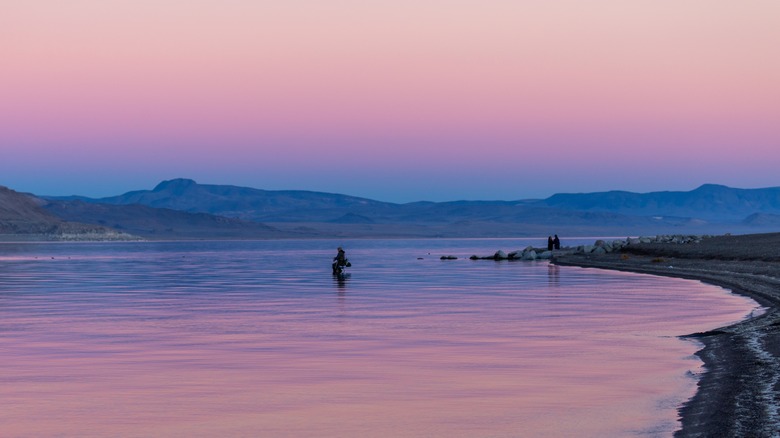 Flyfishing at Pyramid Lake Nevada at sunset
