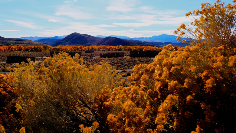 Autumn foliage in rust and orange overlooking some of Fort Churchill's structures and the hills behind them all