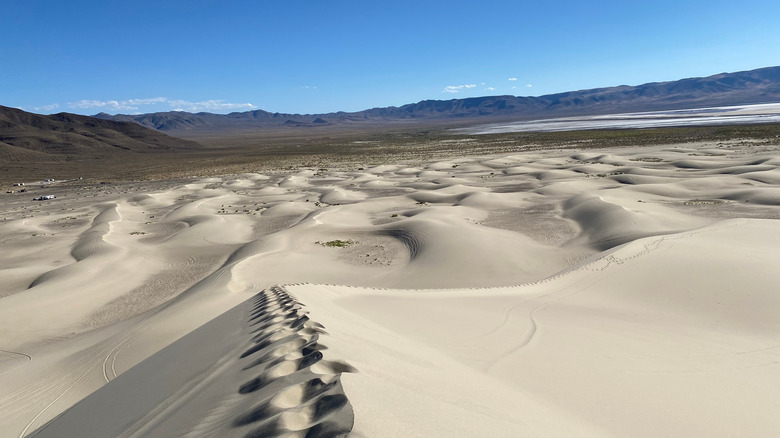 Footprints in the dunes at Sand Mountain in the high desert of west central Nevada