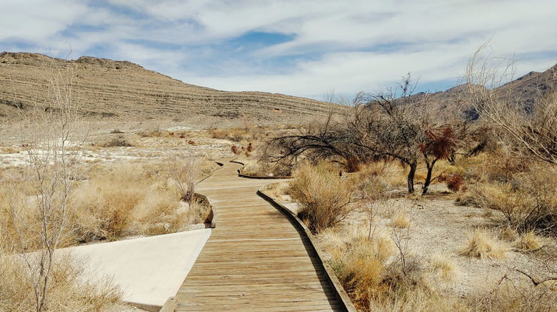 Wooden path to Devils Hole in the Ash Meadows National Wildlife Refuge