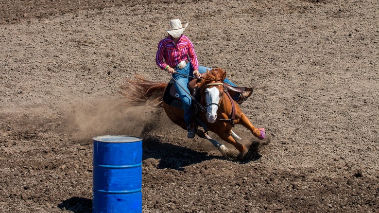 A cowgirl rides a horse around a blue barrel at Fernley Rodeo.