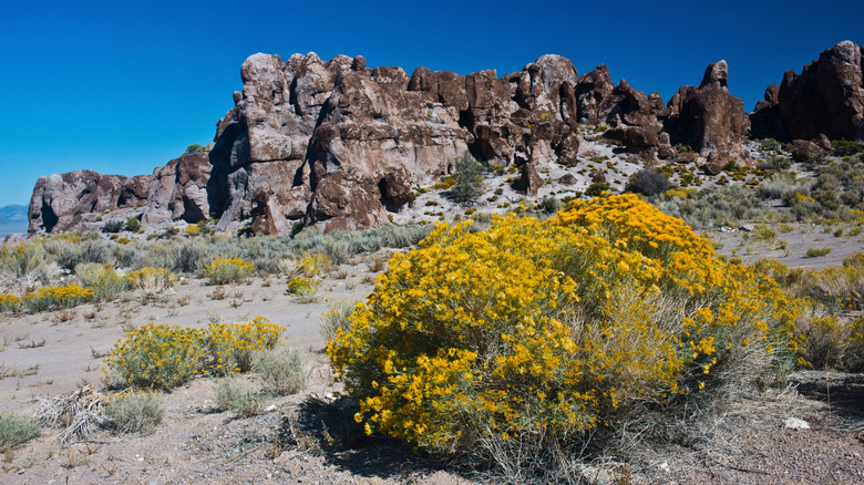 Rocky pinnacles in Basin and Range National Monument, Nevada