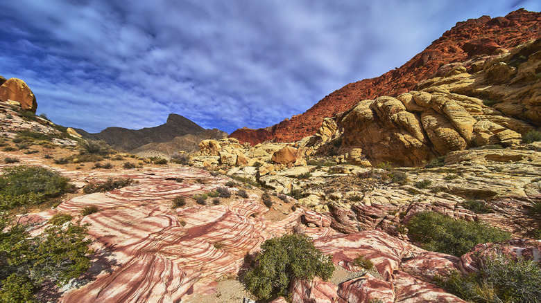 Rock formations at Turtlehead Peak, Nevada