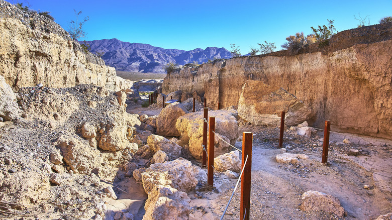Rocky trail at Ice Age Fossils State Park, with mountains in the distance