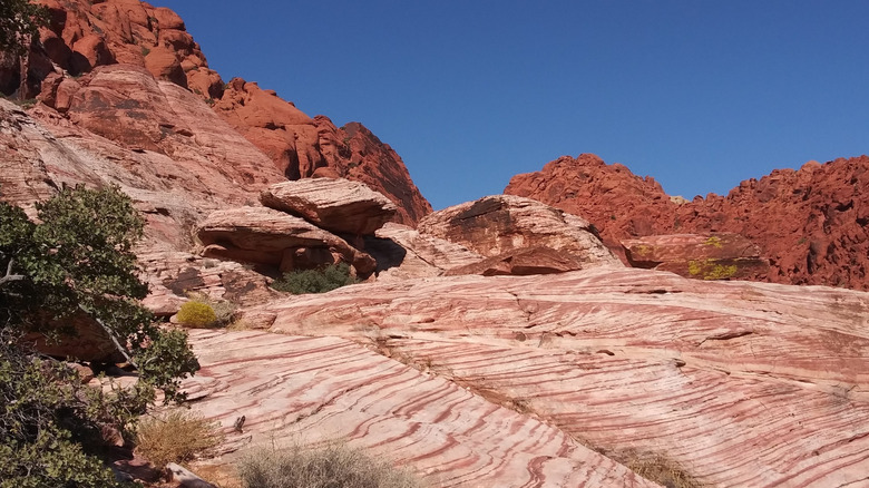 Red rock rises at Calico Basin