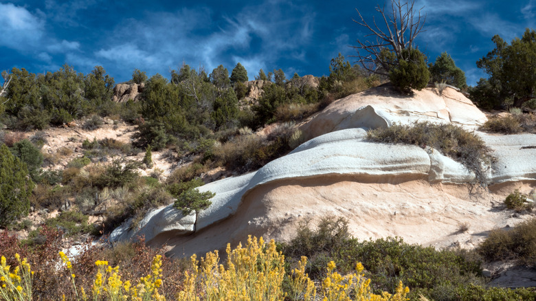 Weathered ash tuff canyons covered in shrubs and yellow high-desert flowers at Beaver Dam State Park, Nevada.