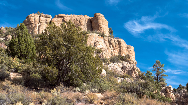 Monolith rock formations tower at Beaver Dam State Park, Nevada, with pines and desert shrubs.
